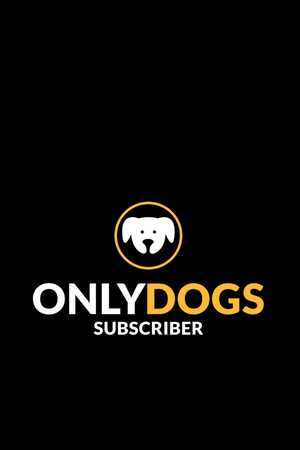 Dogs Subscriber - Hoodies for Dog Lovers - Letshandcraft
