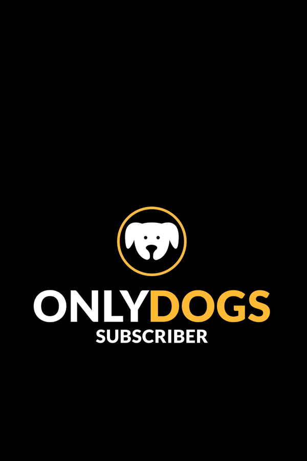 Dogs Subscriber - Hoodies for Dog Lovers - Letshandcraft